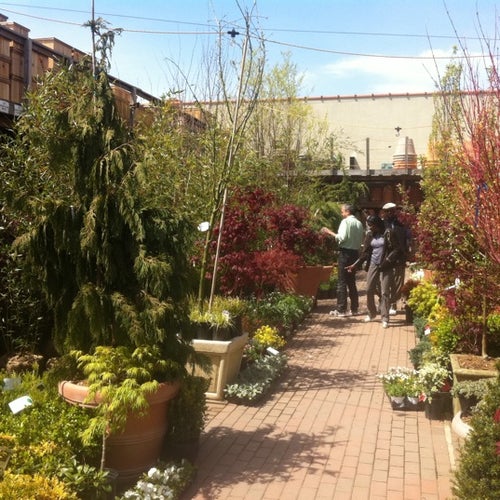 Chelsea Garden Center 444 Van Brunt St Brooklyn