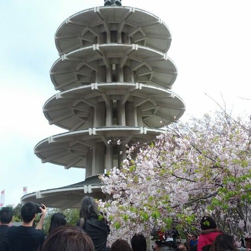 My Image 11