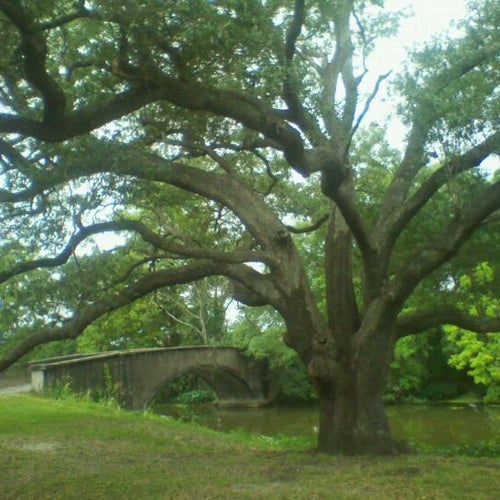 Audubon Park 6500 Magazine St New Orleans