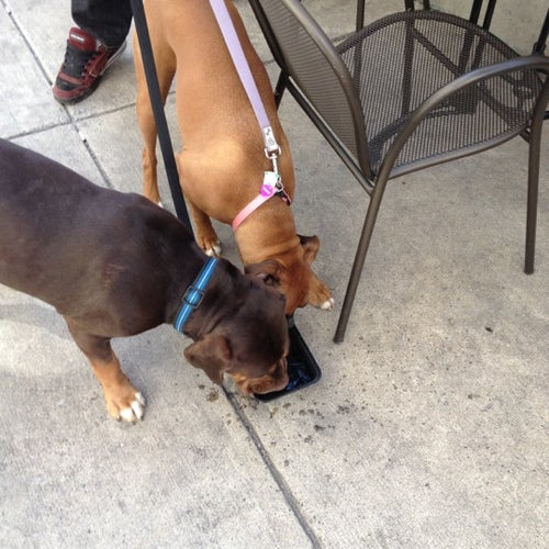 Breadsoda 2233 Wisconsin Ave NW Washington