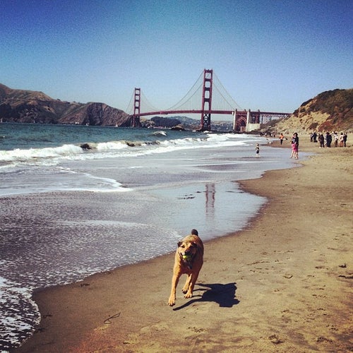 Baker Beach