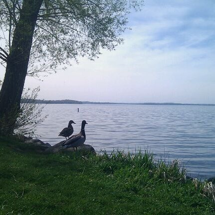 Olbrich Park