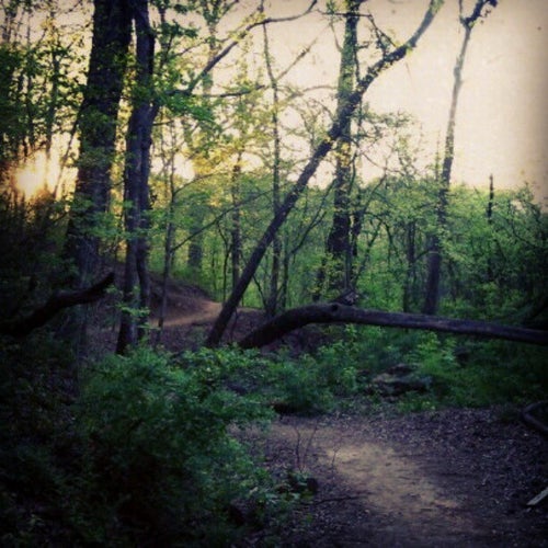 Morningside Nature Preserve Wellbourne Drive Atlanta