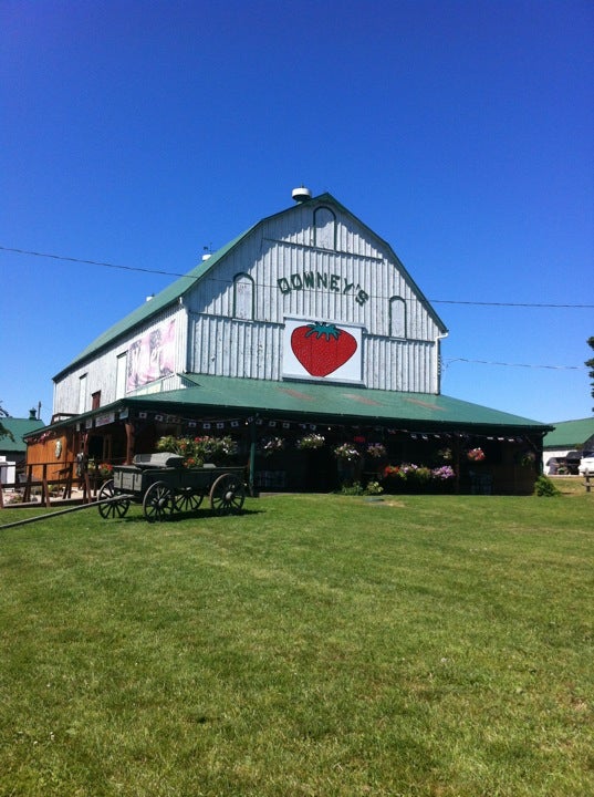 farm