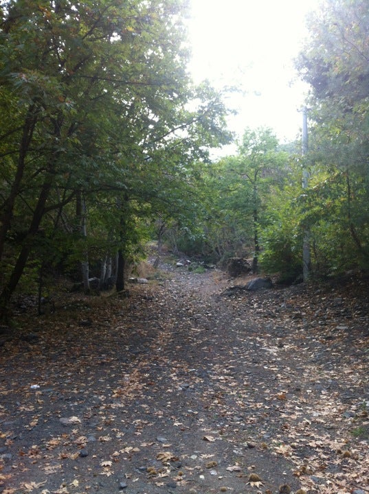 other-great-outdoors