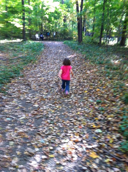trail
