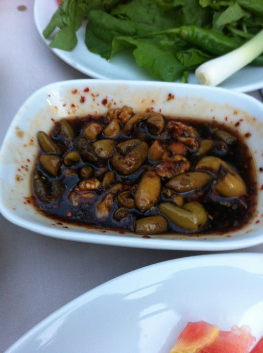 turkish-restaurant