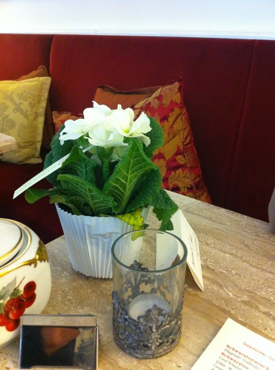 tea-room