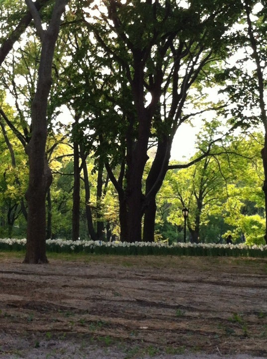 field
