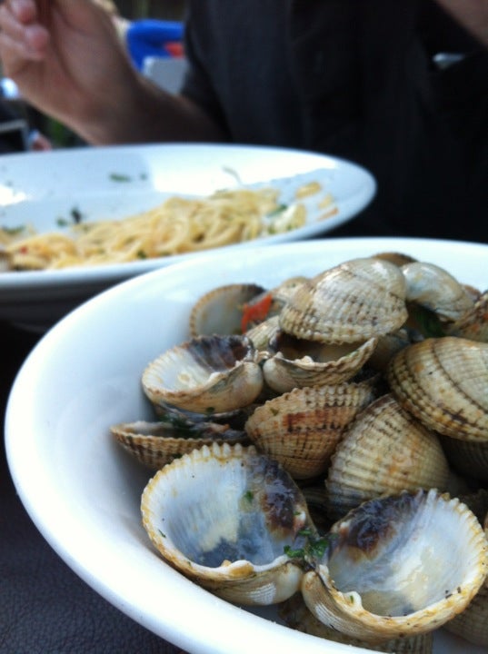 italian-restaurant