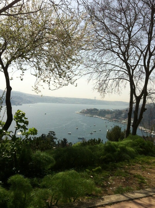 scenic-lookout