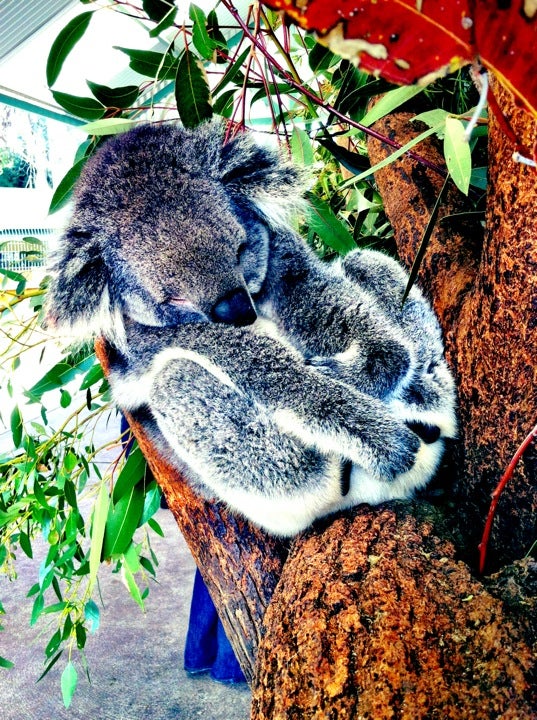 zoo