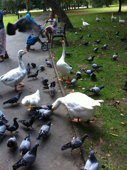 park