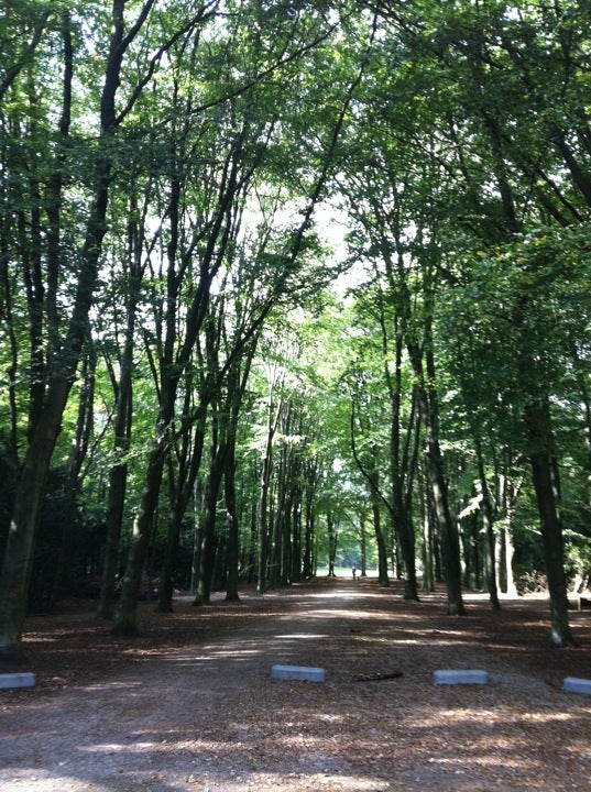 park