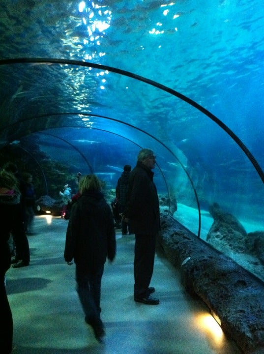 aquarium