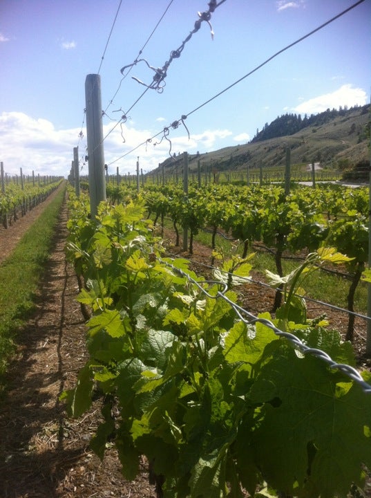 winery