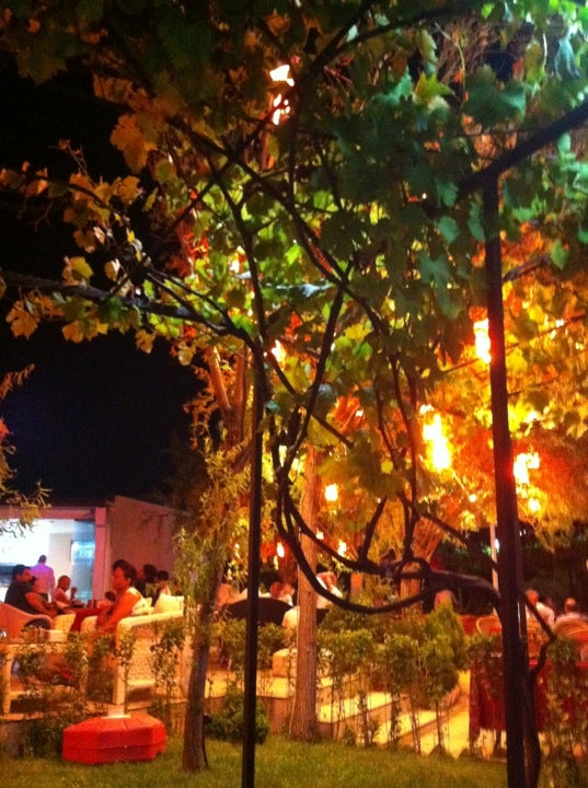 cafe