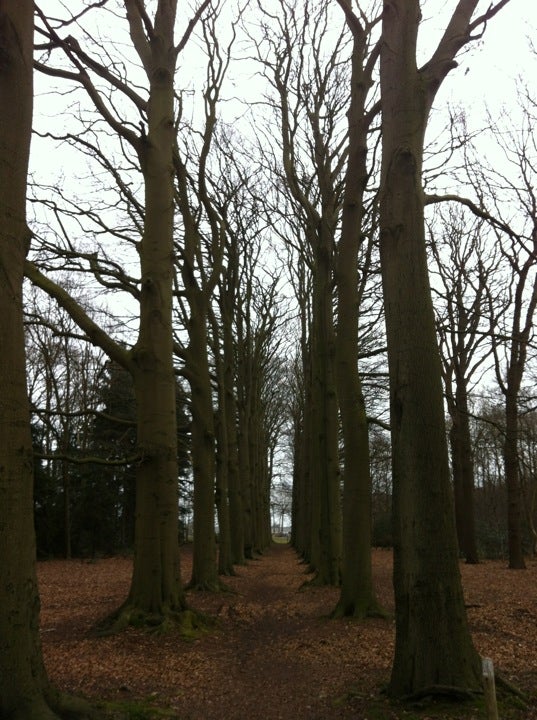 park