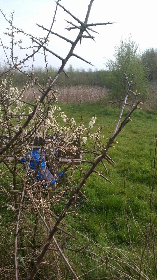 other-great-outdoors