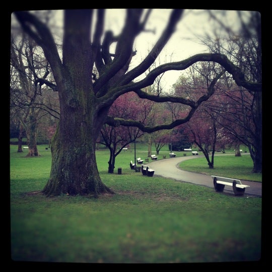 park