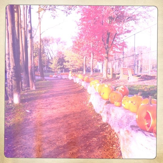park