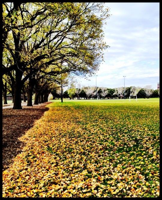 park