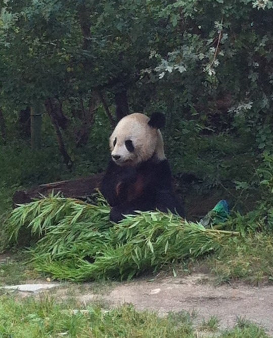 zoo-exhibit