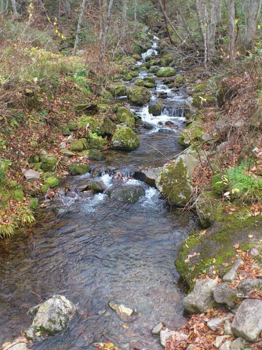 hot-spring