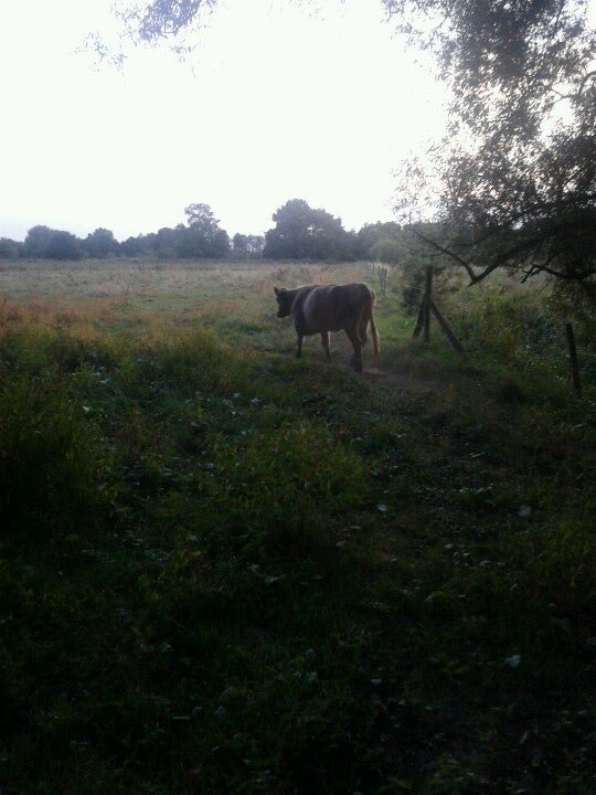other-great-outdoors
