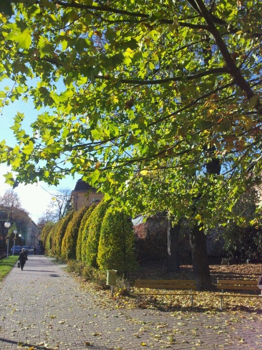 park
