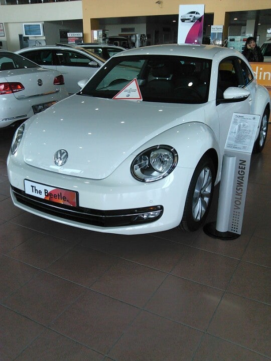 auto-dealership