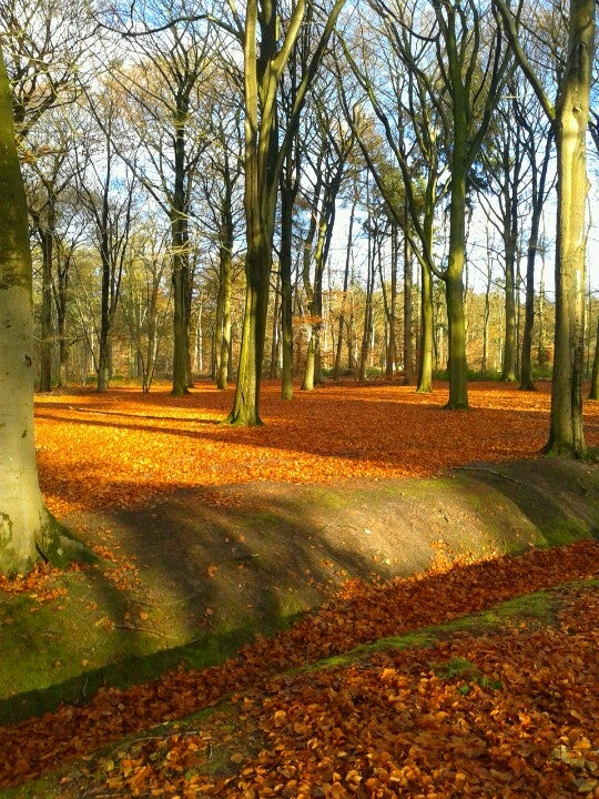 park