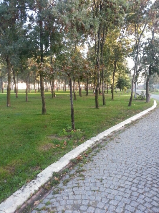 park