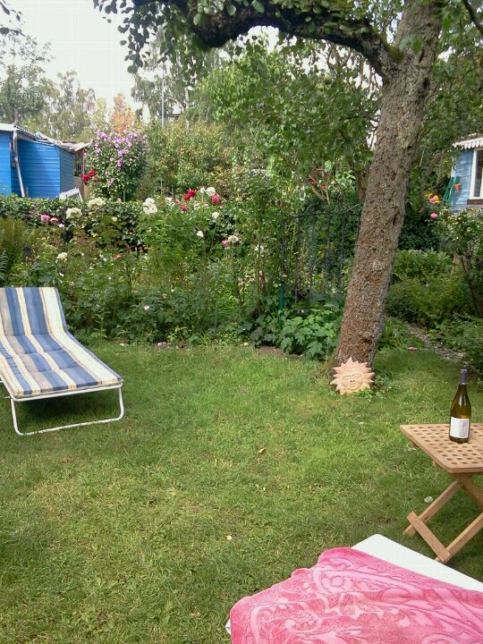 garden
