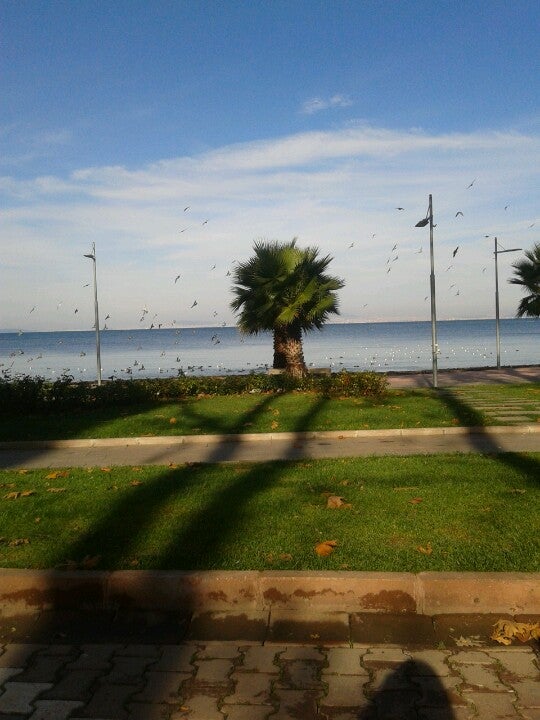 beach
