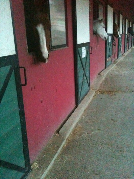 stables