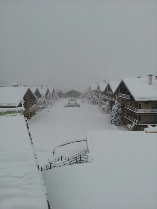 Faraya