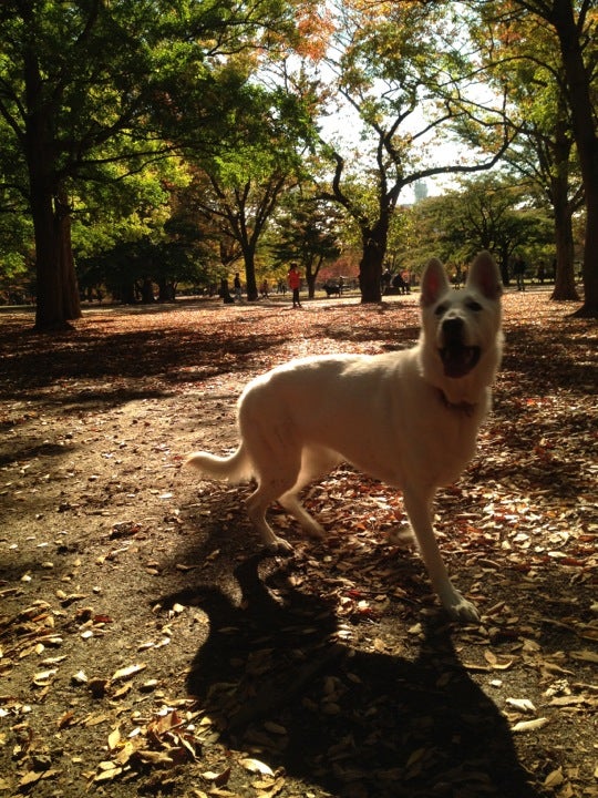 park