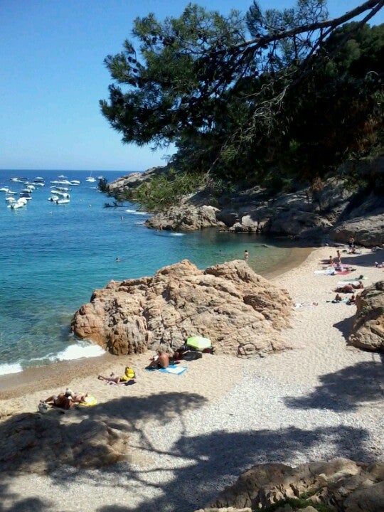beach