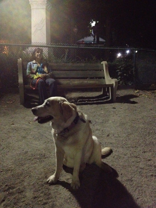 dog-run