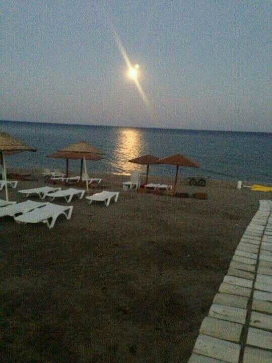 beach