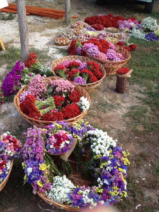farmers-market