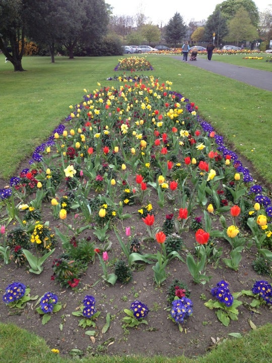 park