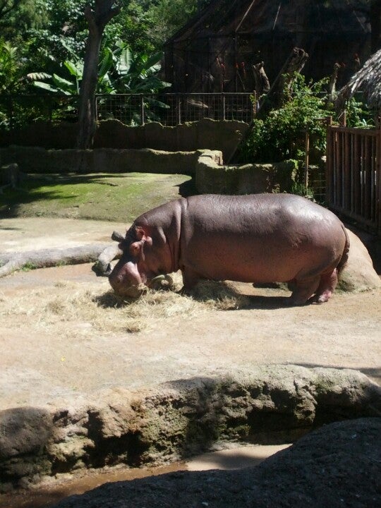 zoo