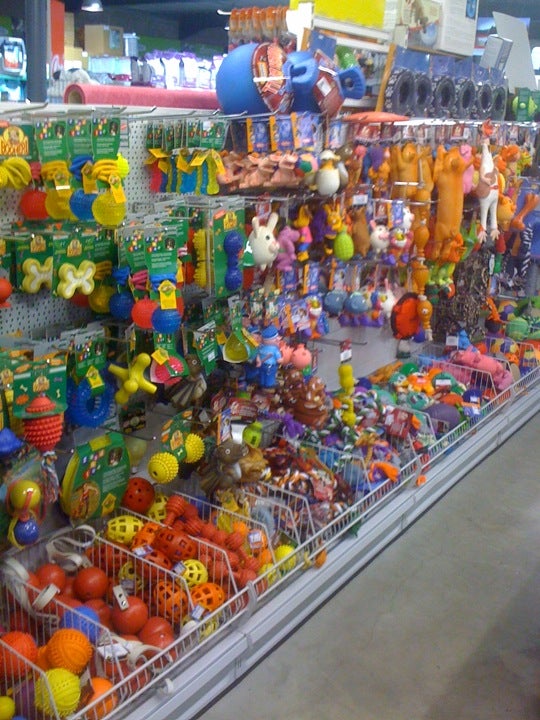 garden-center