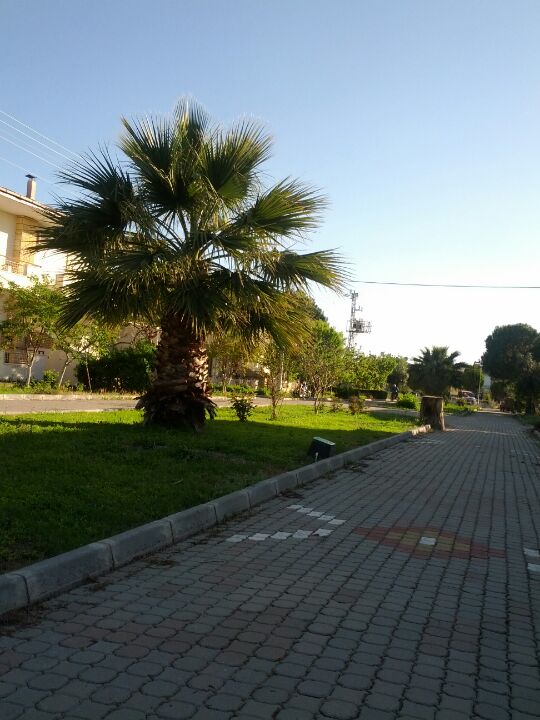 other-great-outdoors