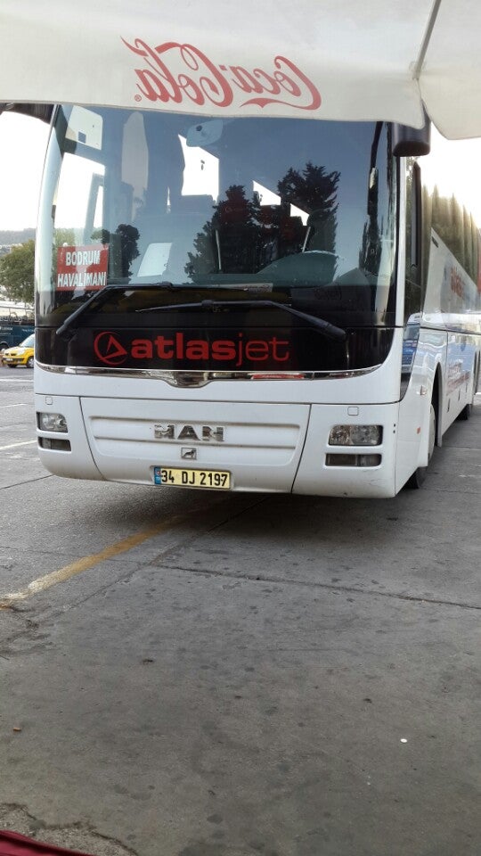 bus-line