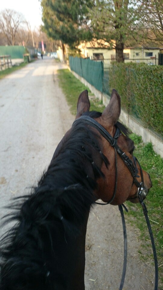 stables
