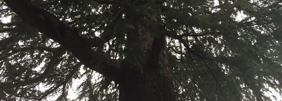 山手公園 Parque Em 山手