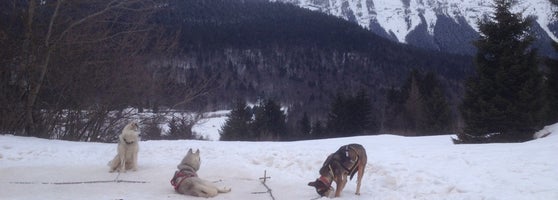 Vienormali It Scopri Andalo E La Paganella